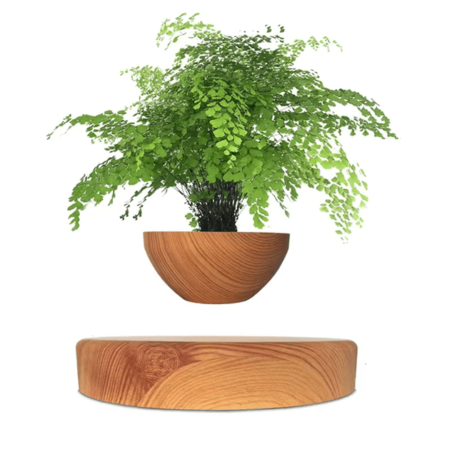 ZenPlant™ Levitating Pot