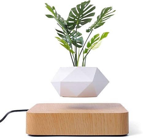 ZenPlant™ Levitating Pot