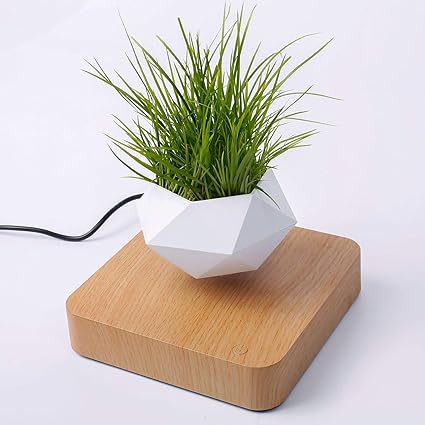 ZenPlant™ Levitating Pot