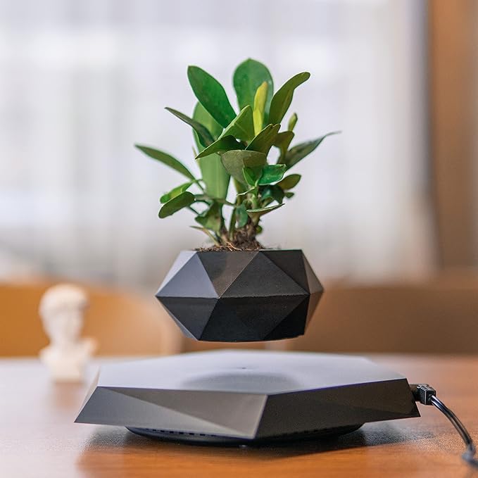 ZenPlant™ Levitating Pot
